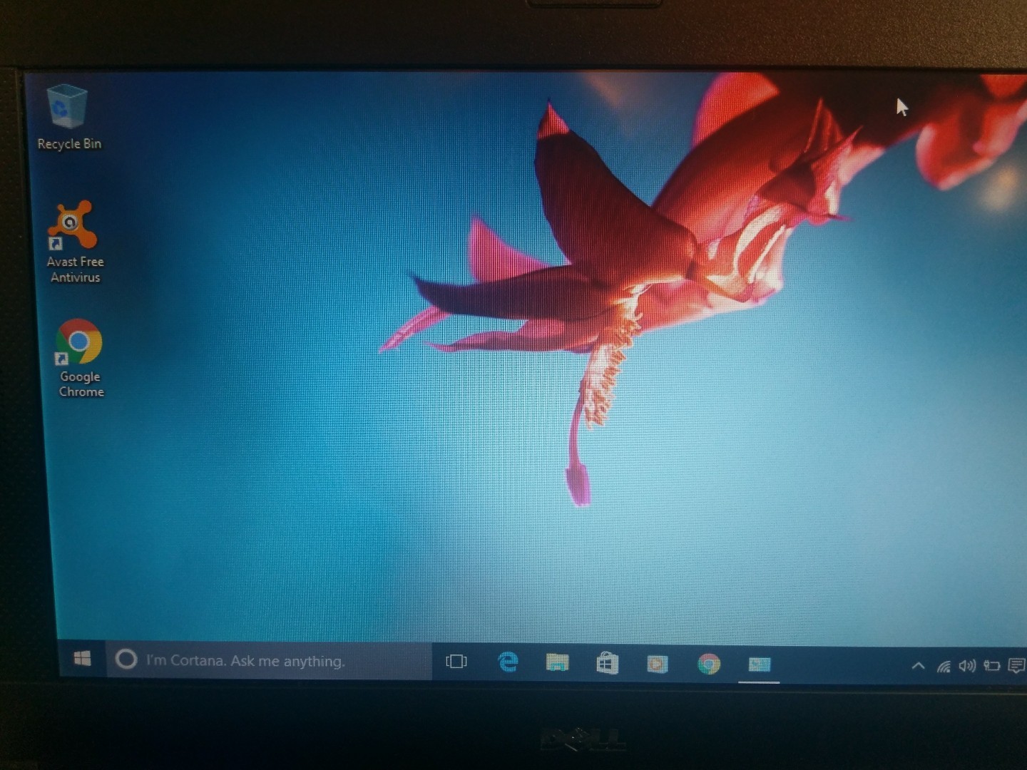 Dell Latitude 2100 Netbook Intel Atom 1.60GHz 2GB RAM 80GB HDD Win 10