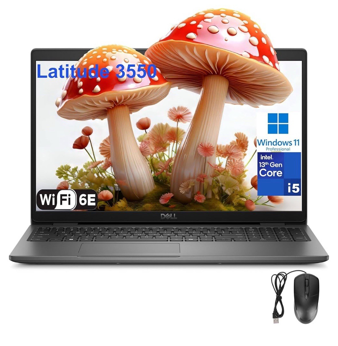 Dell Latitude 3550 laptop for business and work, Intel 10-Core i5-1335U