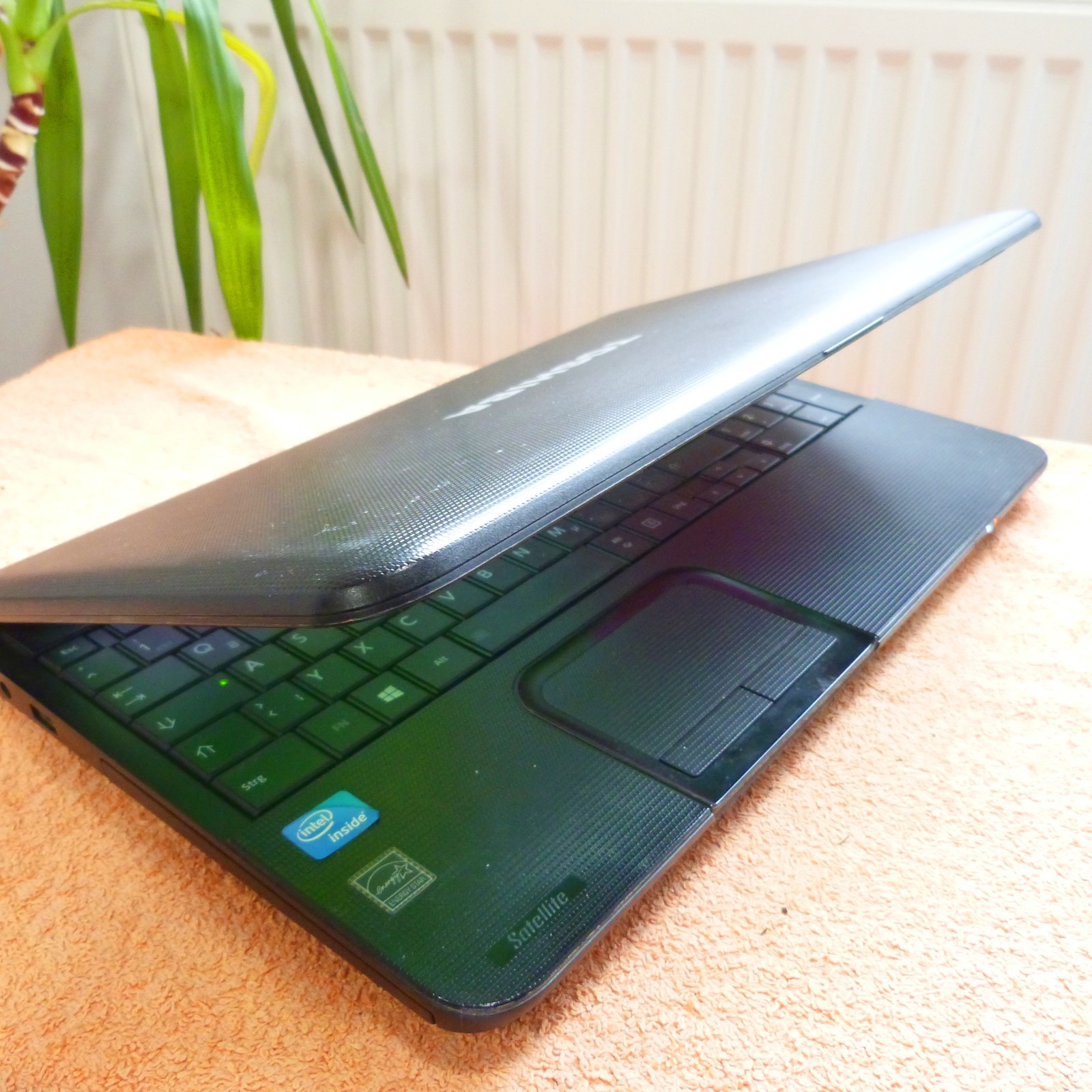 XXL LOT Toshiba C850 15″ HD l 8GB RAM NEW l SSD Windows 11 HDMI USB3 DVDRW