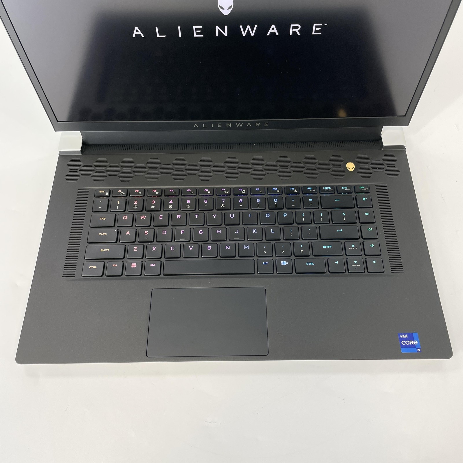 Dell Alienware X17 R2 120Hz 4K 2.5GHz i9-12900H 32GB 1TB SSD RTX 3080 White Spot