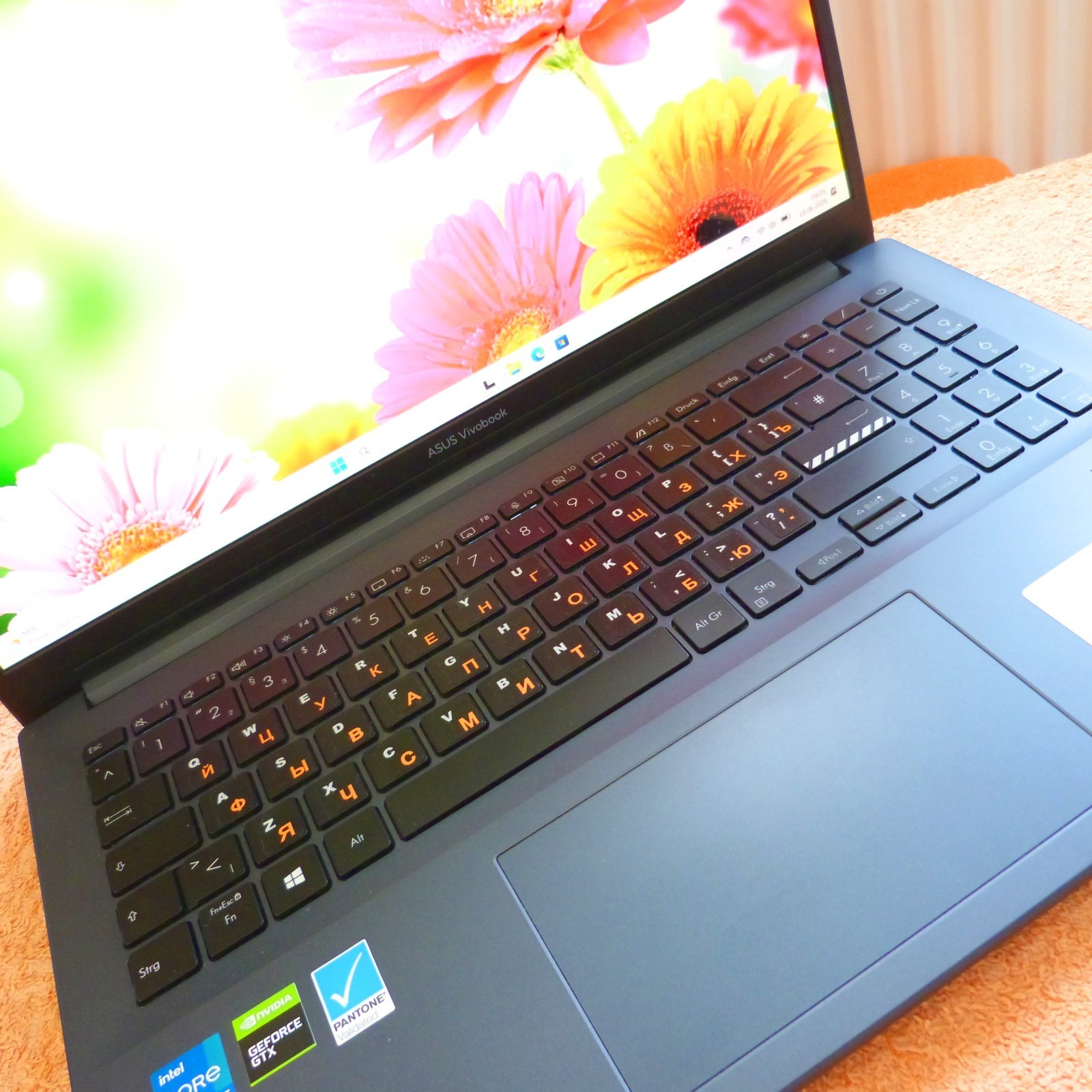XL SET Asus K3500 Vivobook PRO 15 inch OLED ULTRABOOK l SSD Windows 11 i5 11GEN