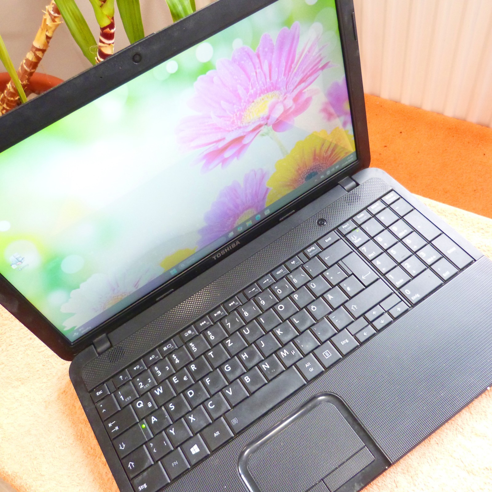 XXL LOT Toshiba C850 15″ HD l 8GB RAM NEW l SSD Windows 11 HDMI USB3 DVDRW