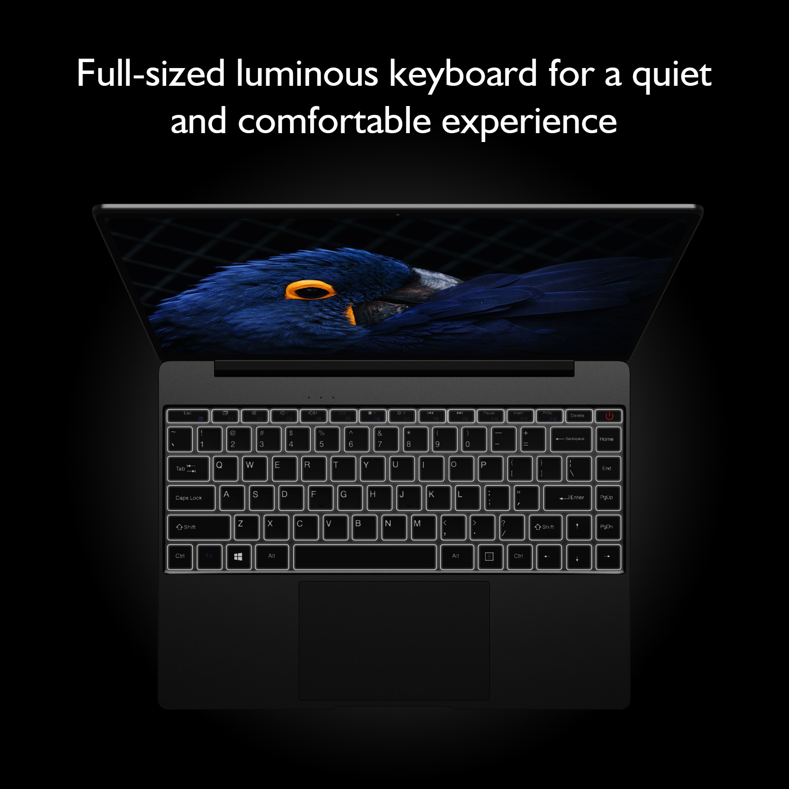 CHUWI GemiBook Pro 14.1 Intel Celeron J4125 Windows Laptop Backlit Keyboard