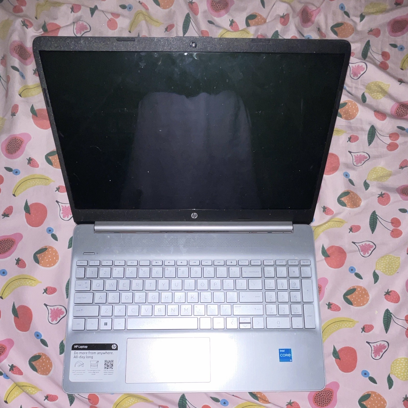 Girlie Sticker HP Touchscreen Laptop Silver with Charger