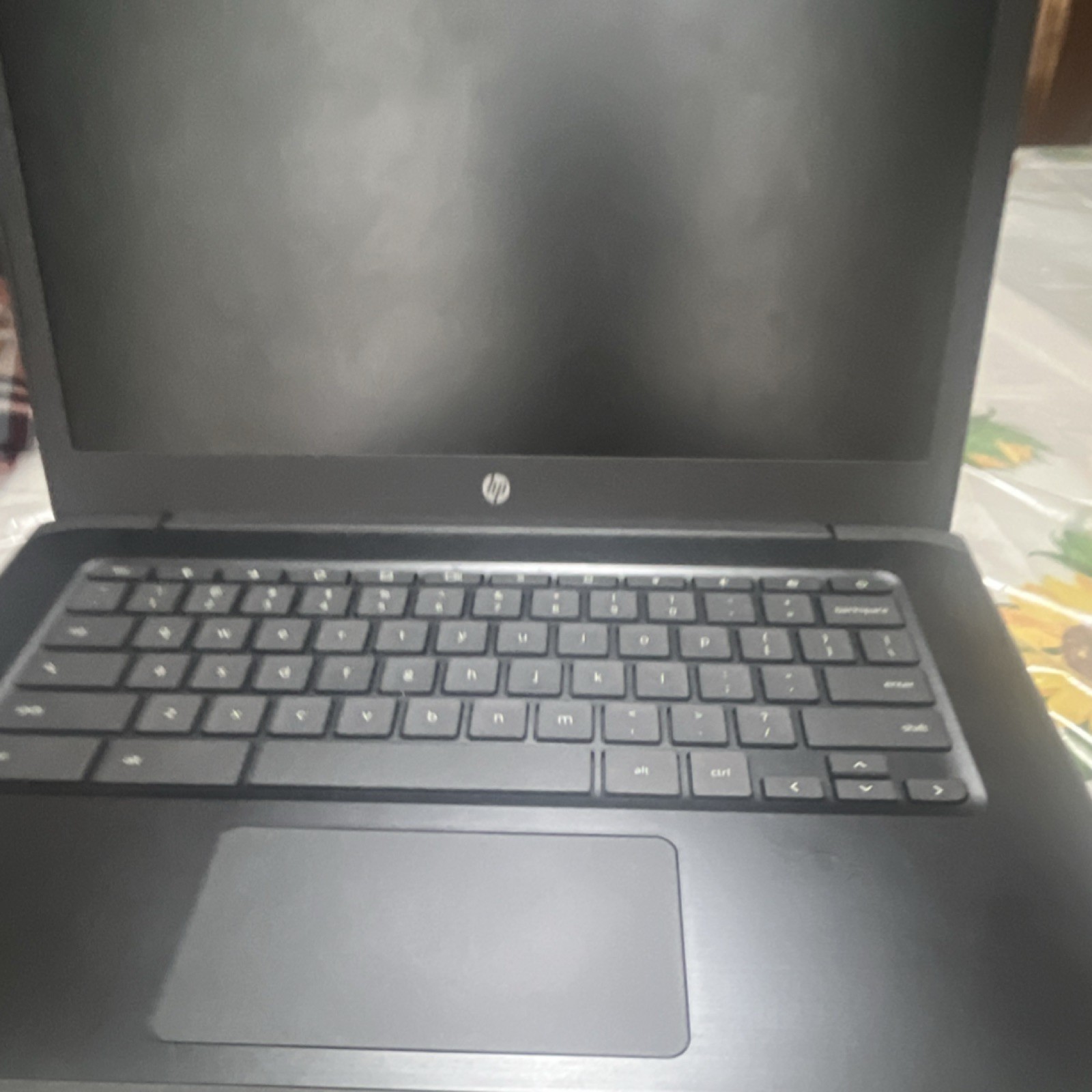 HP Chromebook 14″ Laptop Black Chrome OS Built-in Webcam Wi-Fi Casual Computing