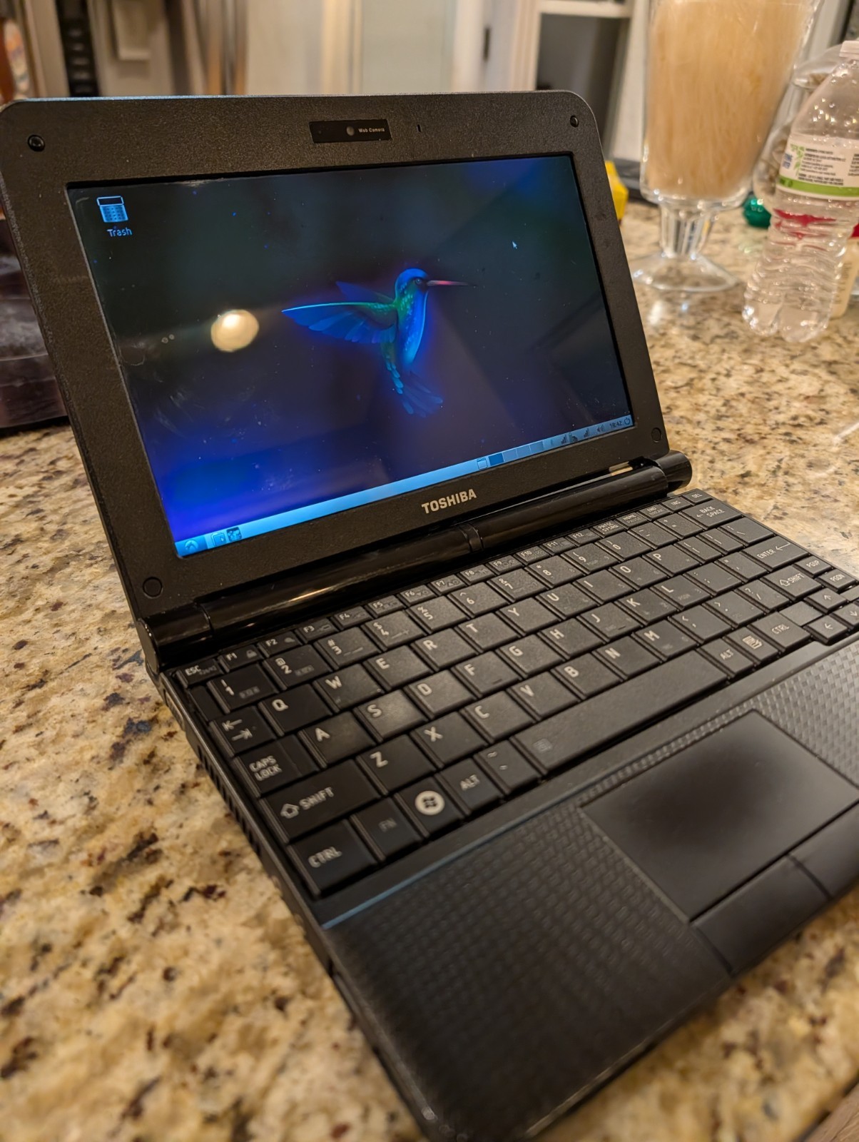Toshiba NB255 Laptop Intel Atom N455 1.66GHz 1gb RAM 250gb HDD Windows 7 Starter