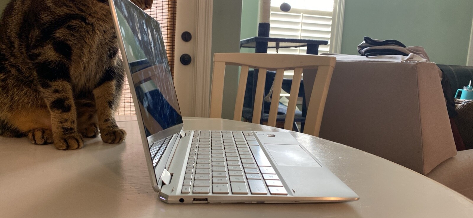HP ENVY x360 14″ (1TB SSD, Intel Core i7 13th Gen., 5.00 GHz, 16GB) Laptop -…