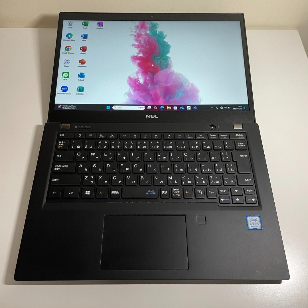 NEC Lavie Direct PM PC-GN164ZELG Core i5-8265U 8GB RAM 256GB SSD 13.3in