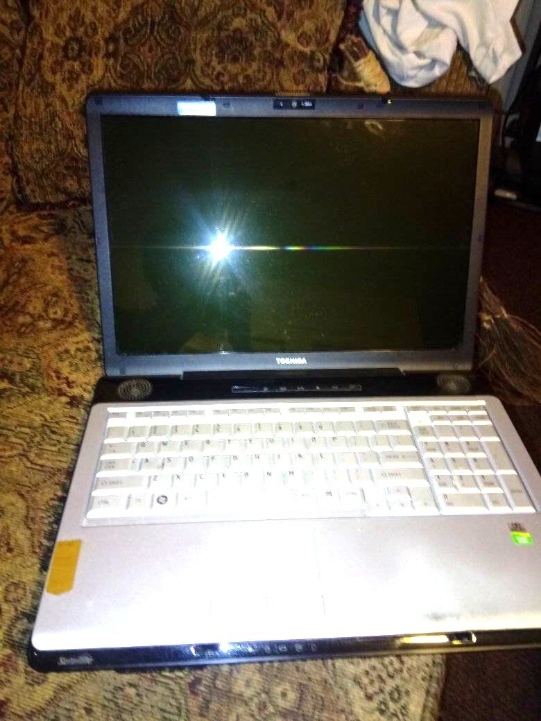 Toshiba Satellite P205D-S7802 17.3″ AMD Turion 64 X2 3 GB RAM 0 GB HDD