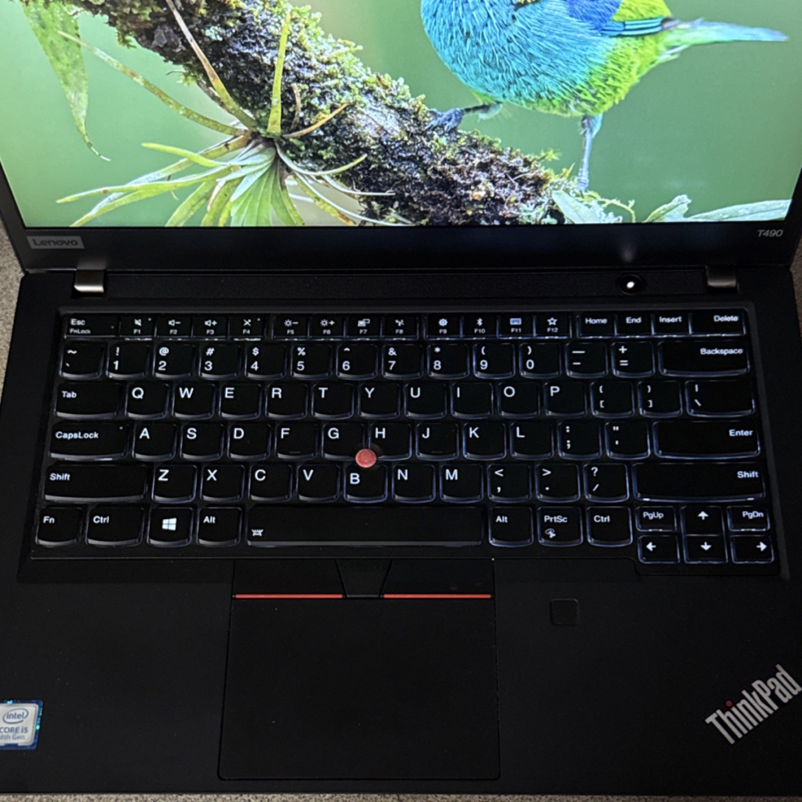 Lenovo ThinkPad T490 14″ Intel Core i5-8265U, 8GB RAM, 256GB Storage, Win 11 Pro