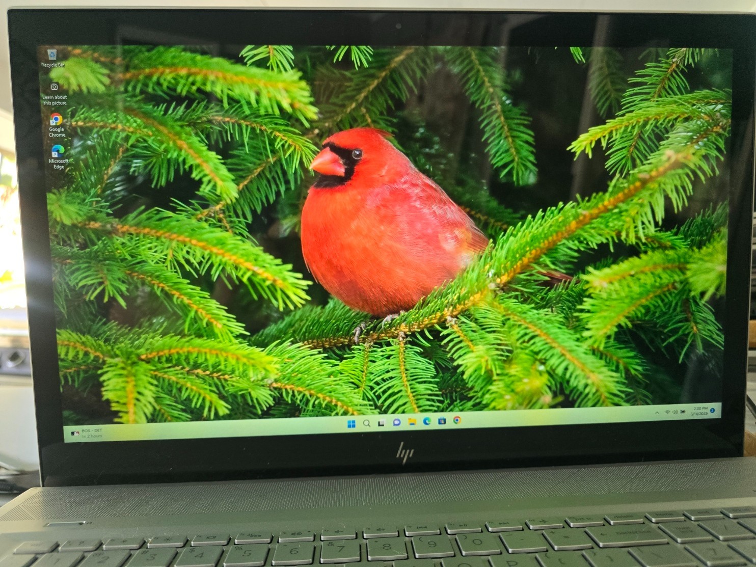 HP 17M ENVY BW FHD TOUCH i7-8550U@4.0GHz+1TB G4 SSD+1TB HDD+16GB RAM+AI-ONBOARD