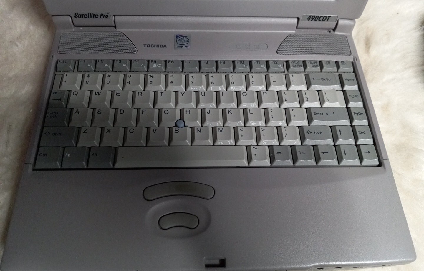 Toshiba Satellite Pro 490CDT Pentium II 4GB windows98+ Battery & Power Adapter
