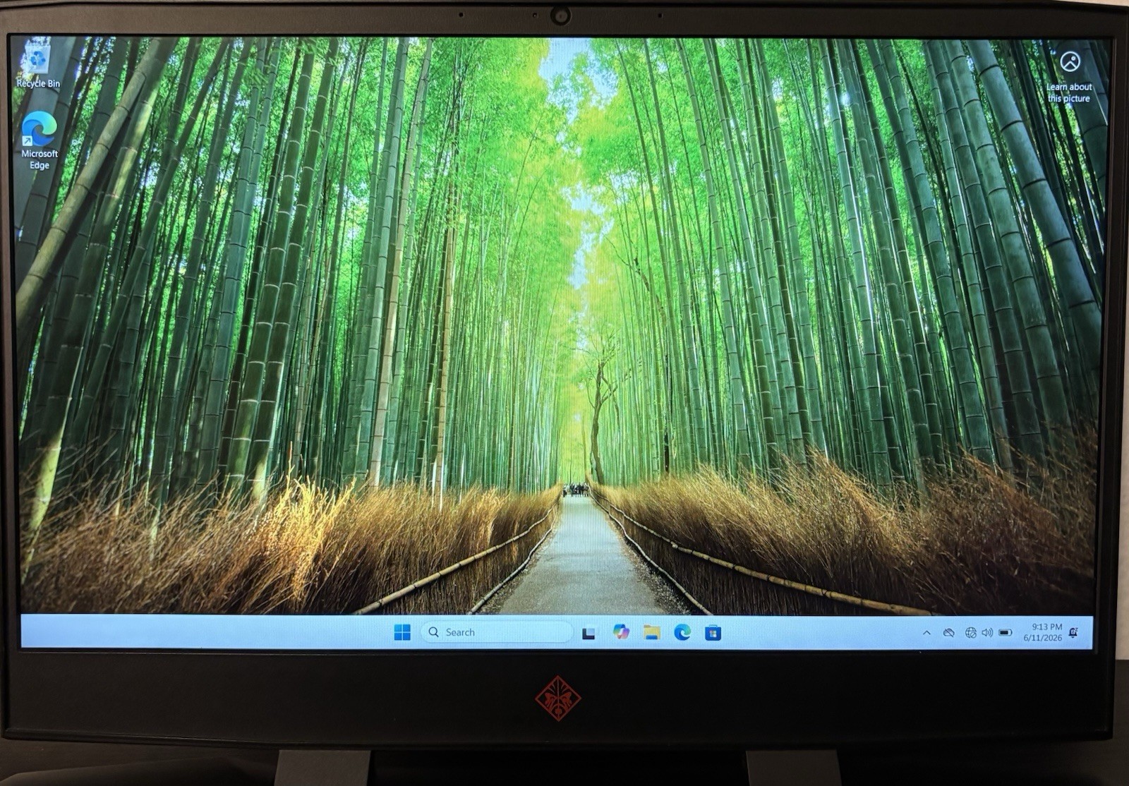 HP OMEN 15 Gaming Laptop GTX 1060 6GB i7-8750H 16GB RAM 750GB SSD Win 11