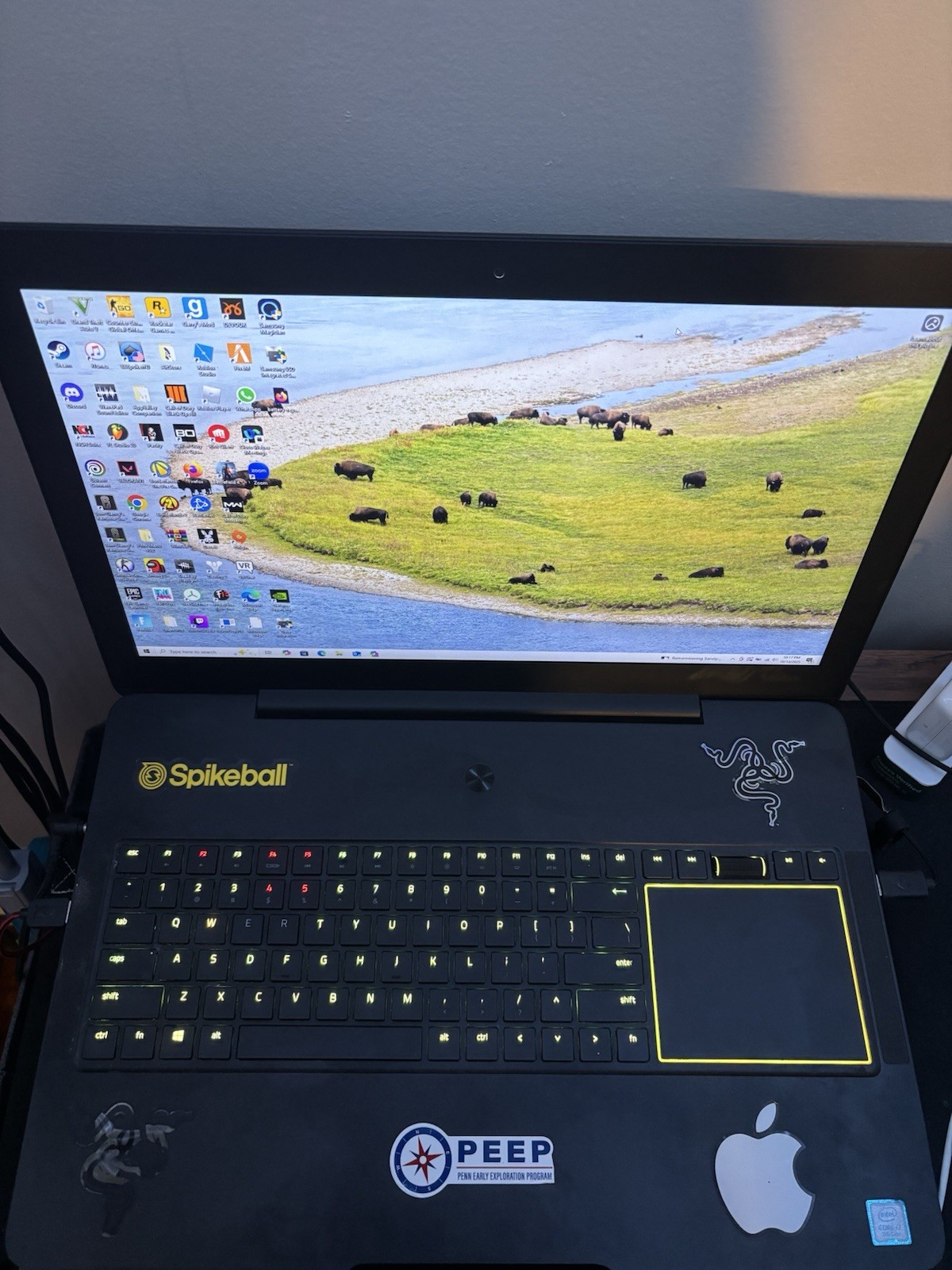 Razer Blade Pro 17 RZ09-02202 i7-7700HQ 2.8GHz 16GB 1.8TB SSD GeForce GTX 1060