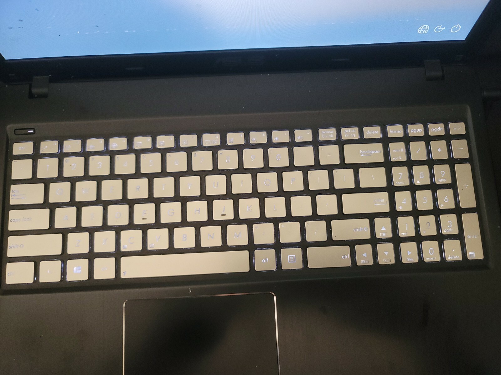 asus laptop computers