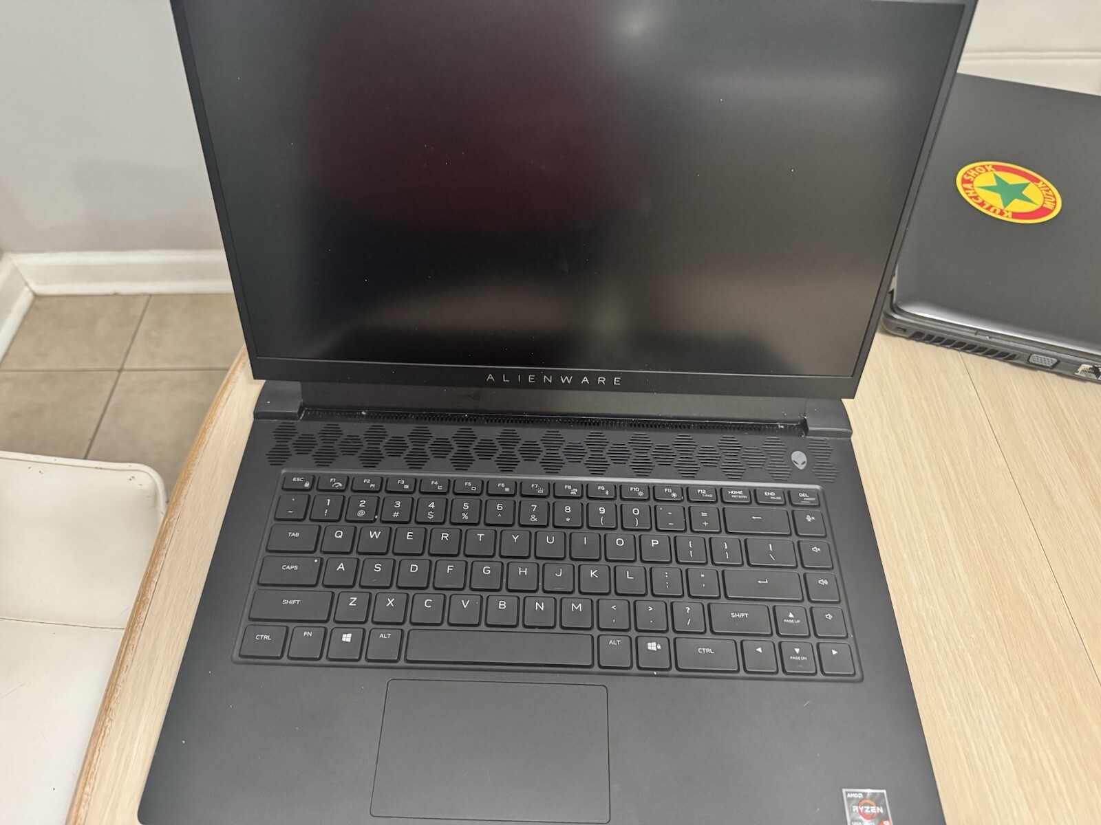 Dell Alienware M15 R5 R6 Laptop LCD