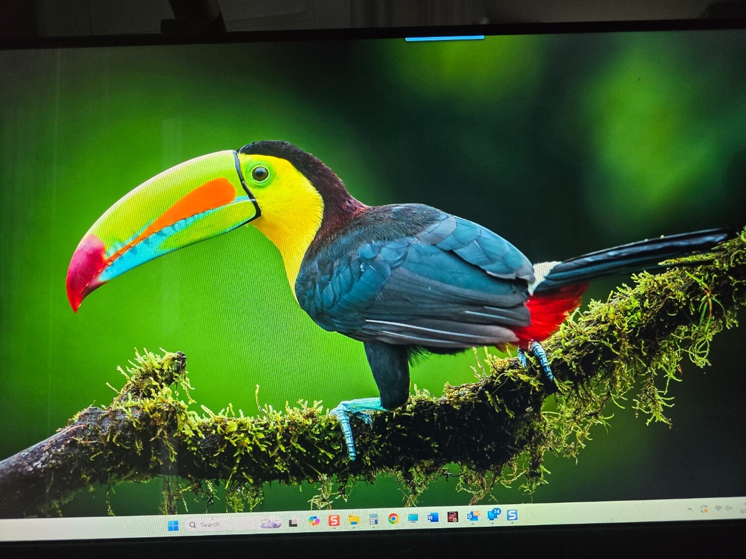 HP ENVY 17m-CG Series+ AI+ UHD+TOUCH+I7@4.0GHz+1 TB M.2 G4 SSD+16GB Ram+GPU+F/S