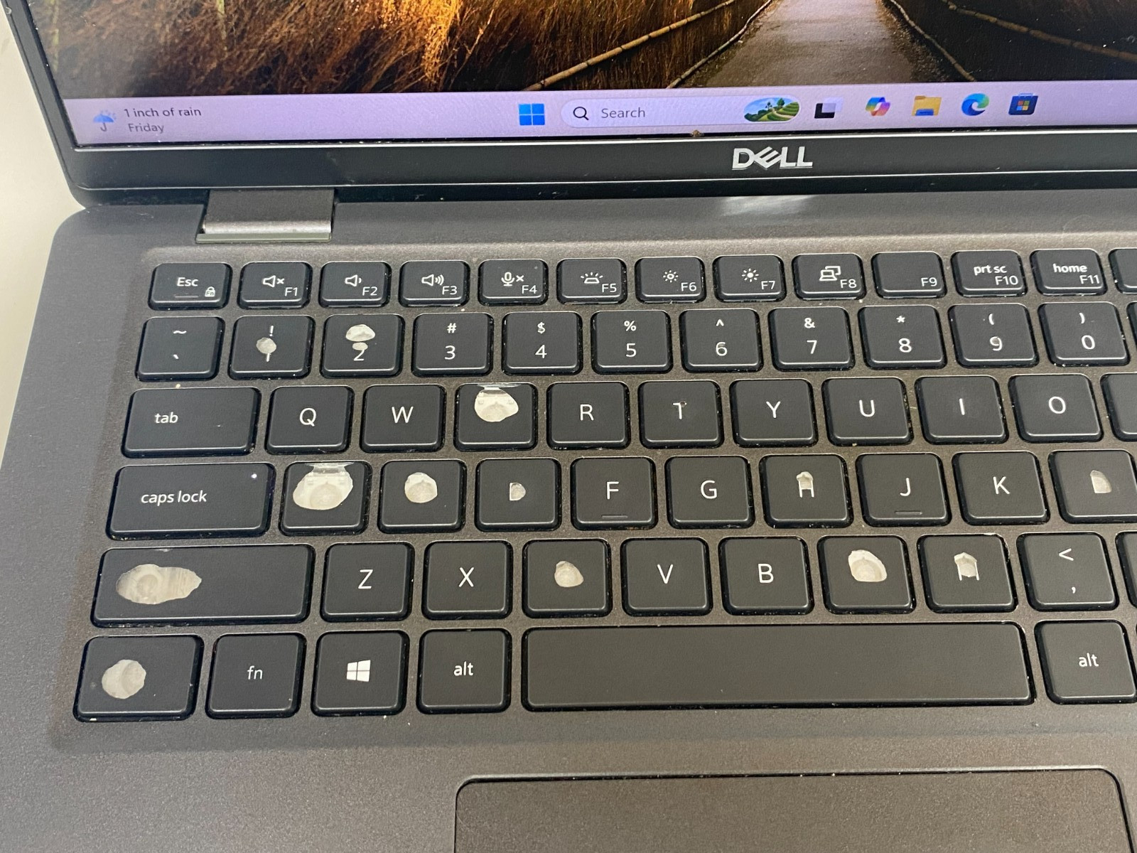 DELL LATITUDE 7420 i7-1185G7@3.00GHz 16GB RAM 256GB NVMe W11P *READ