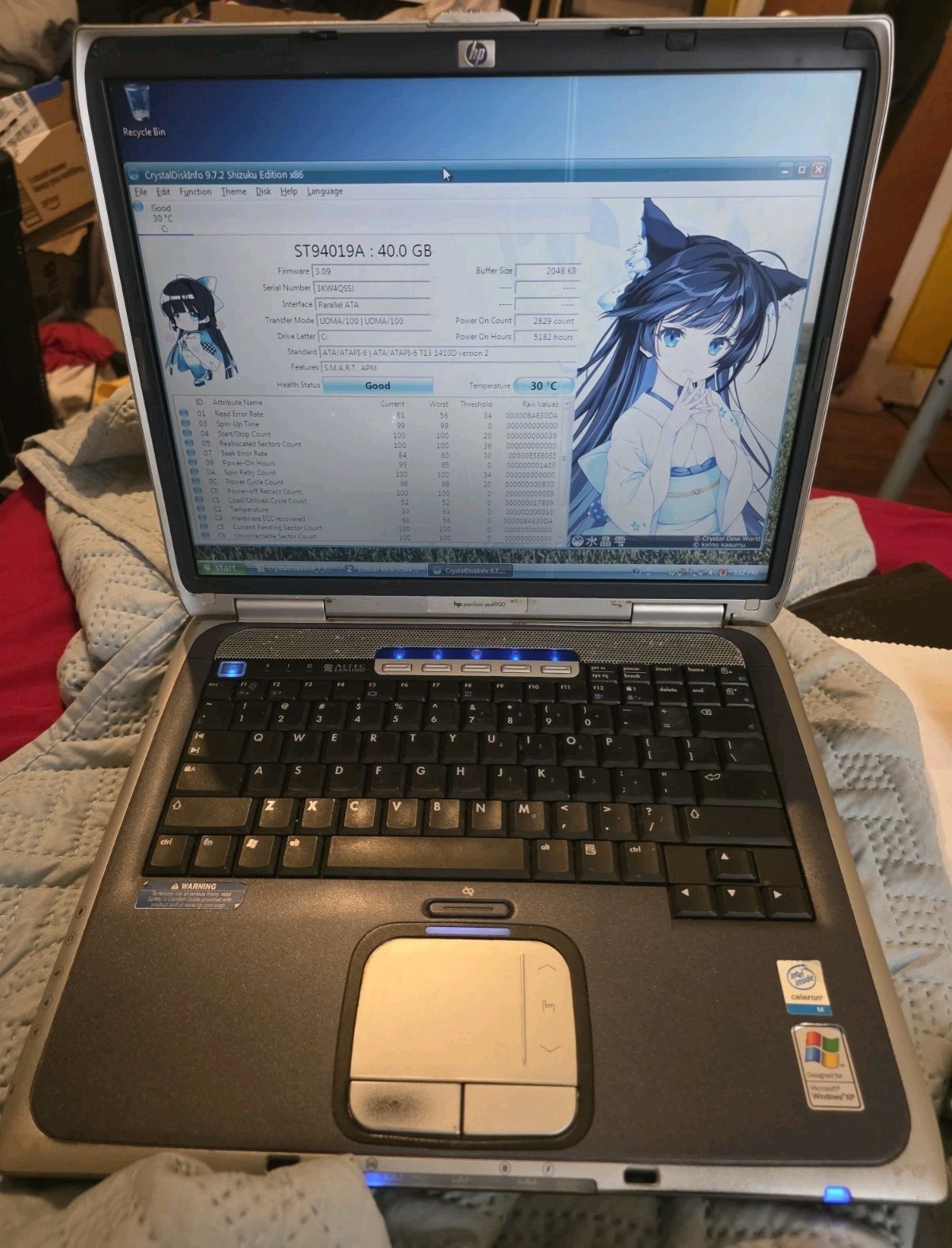 HP Pavilion Ze4900 Celeron M 1.3GHz 256MB DDR 40GB HDD (Read Description)