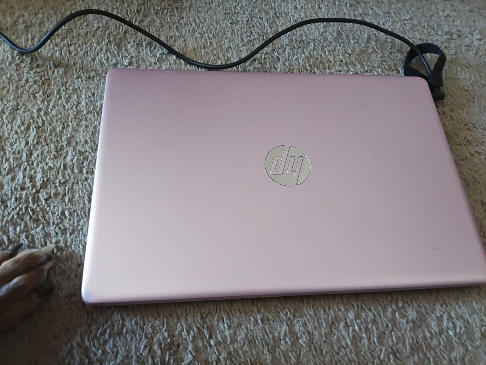 HP Stream 14-cb172wm 14″ (64 GB, Intel Celeron N4000, 1.10 GHz, 4 GB) Laptop…