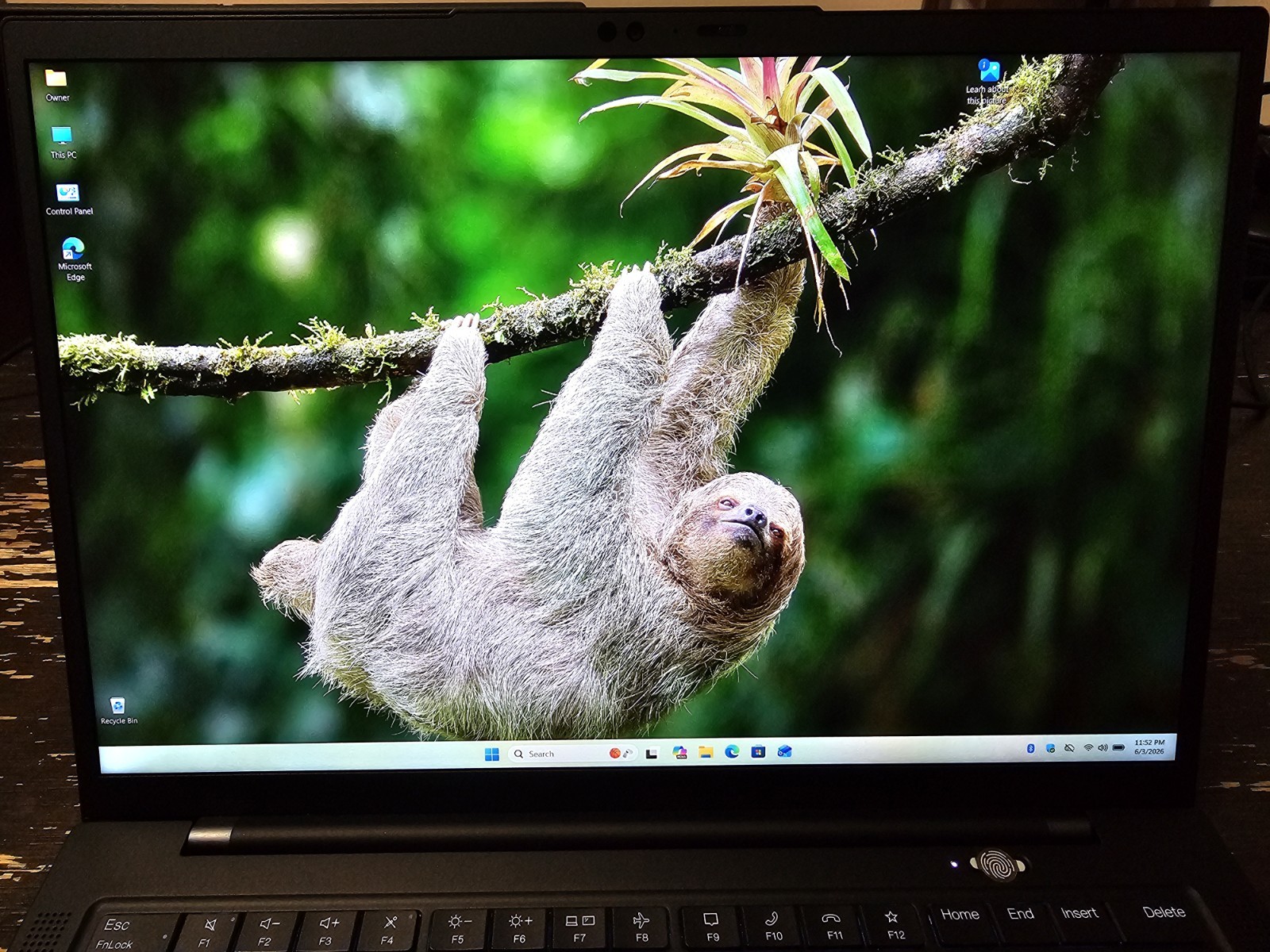Lenovo Thinkpad X1 Carbon Gen 10 Intel Core i7 32GB 1TB w/Webcam ~READ~