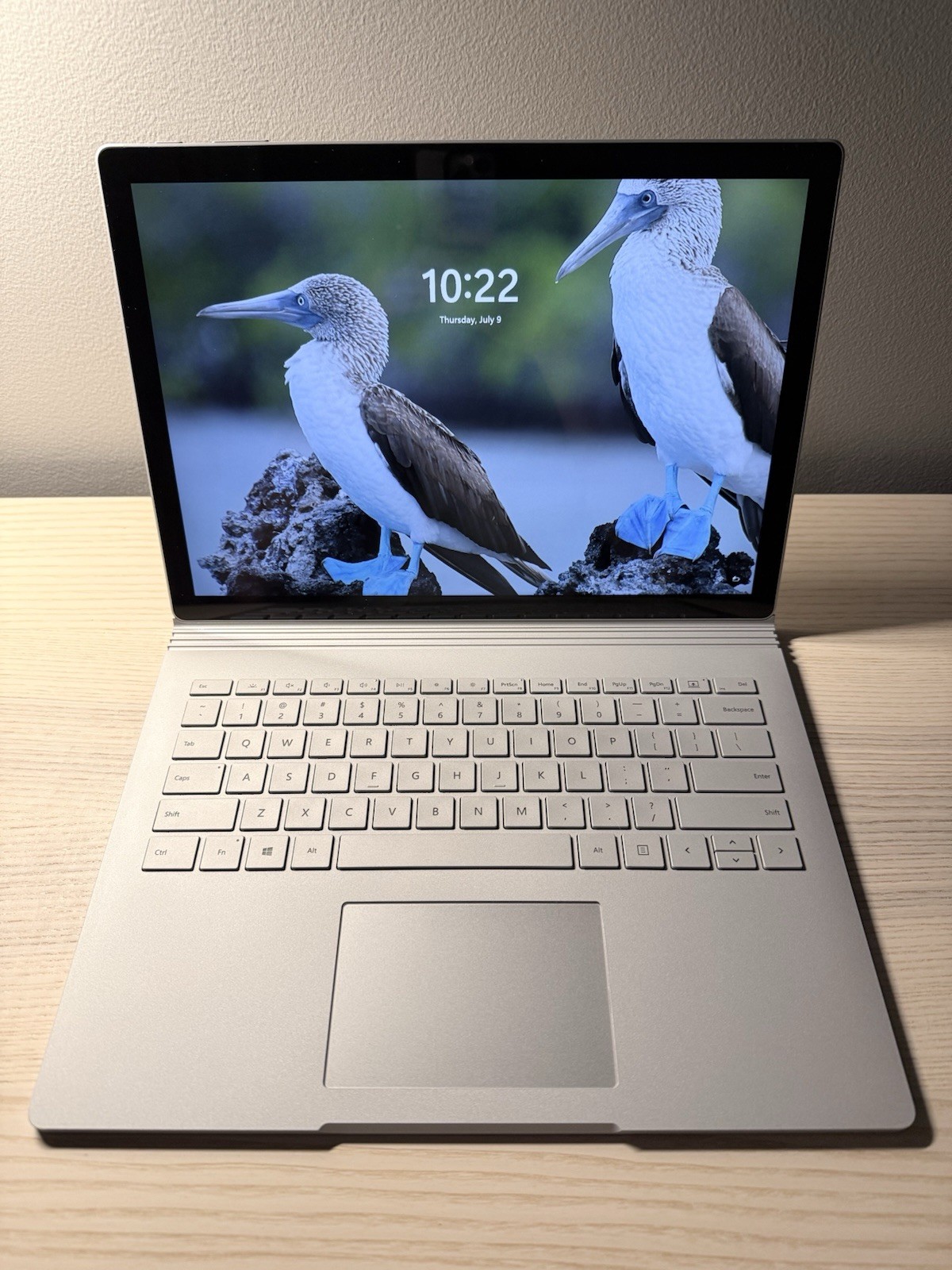 Microsoft Surface Book 2 | i5 | 8gb RAM | 256gb SSD | excellent battery
