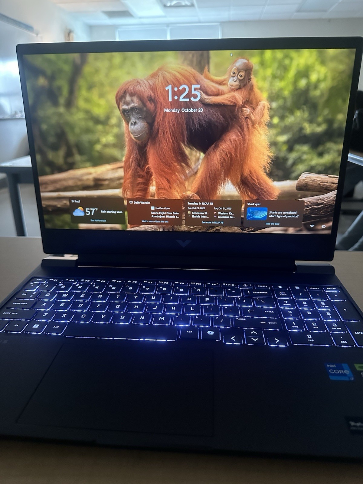 NVIDIA GeForce RTX 5060 HP Victus 15.6″ 144Hz
