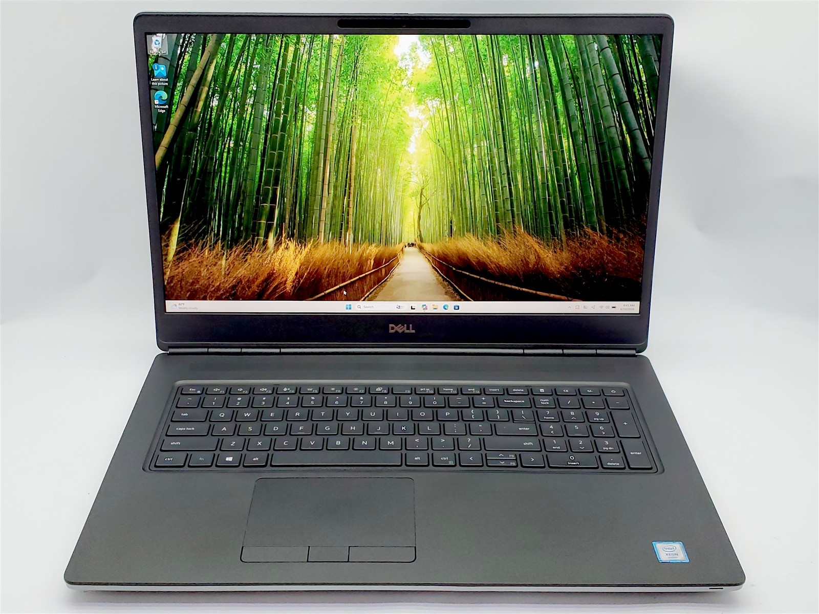 Dell Precision 7750 Xeon W-10855M 2.8-5.1Ghz T1000 24GRam 1TB NVMe Win11P *USB*