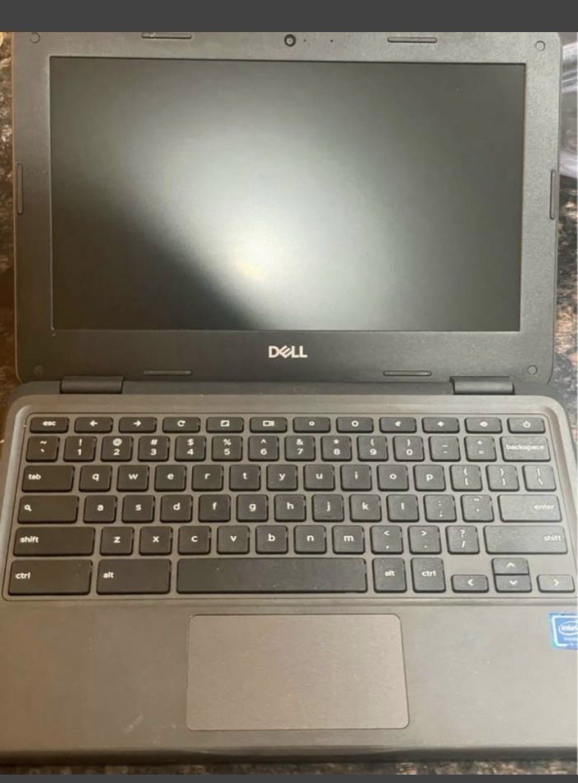Dell 3100 Chromebook Only