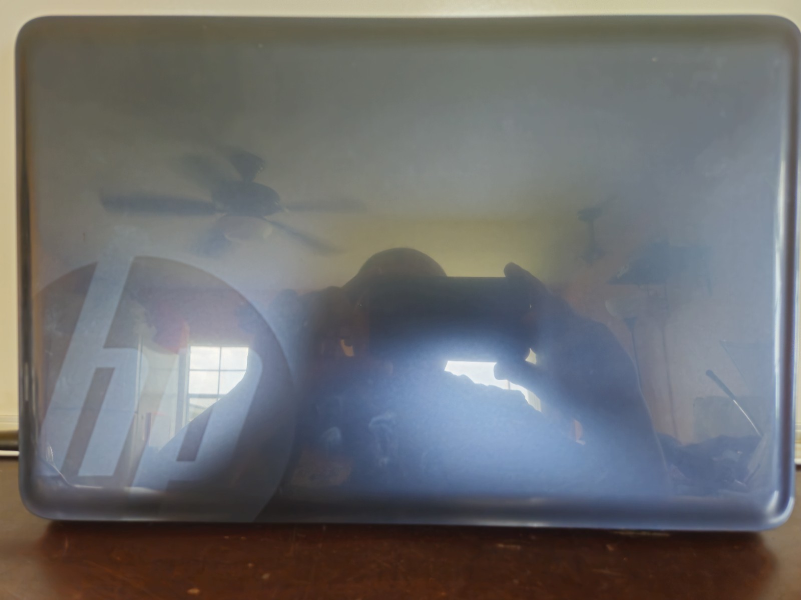 hp 2000 vision amd | Clean Looking Laptop | Blue In Color | Charger Cord Not Inc