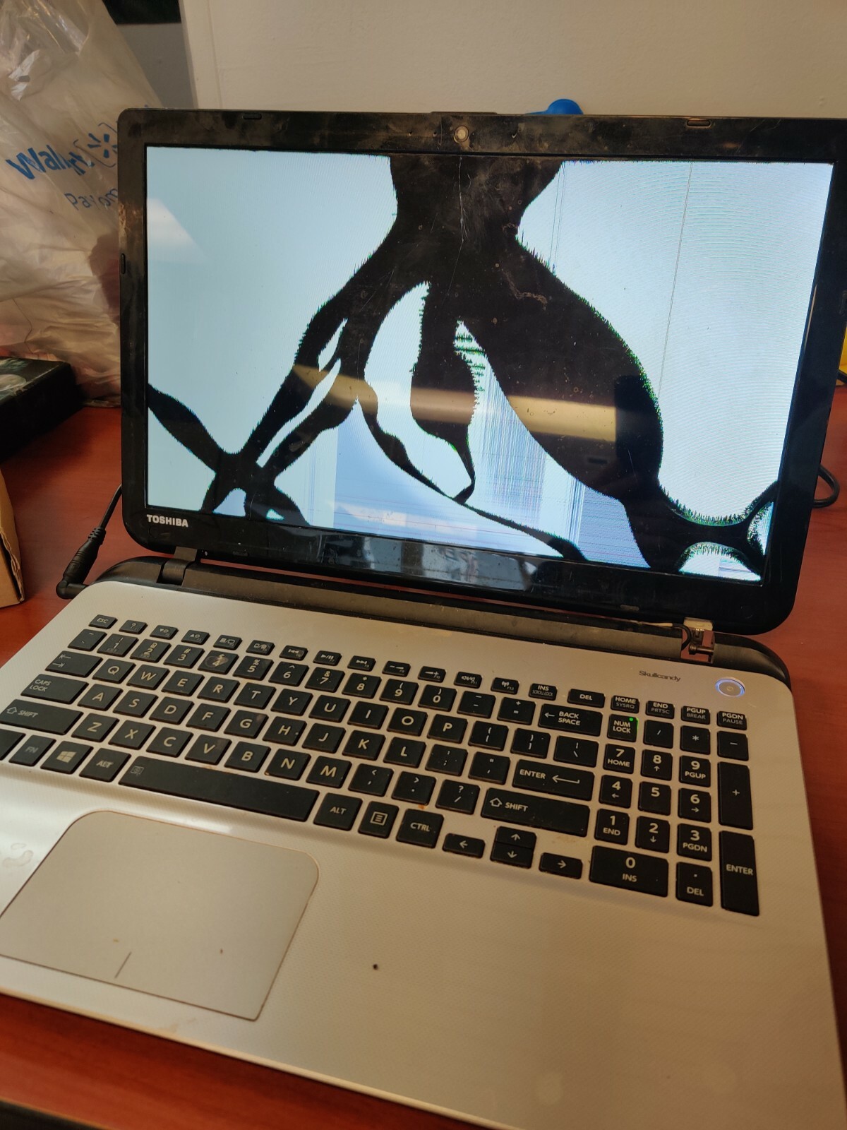 Toshiba L55-B5338, Damaged LCD Assembly, Selling for Parts or Repair, Read Info