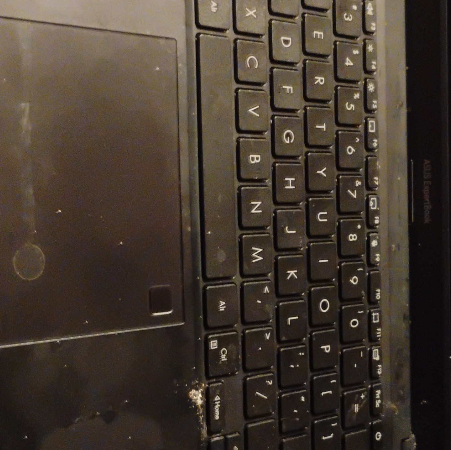 Asus laptop expertbook