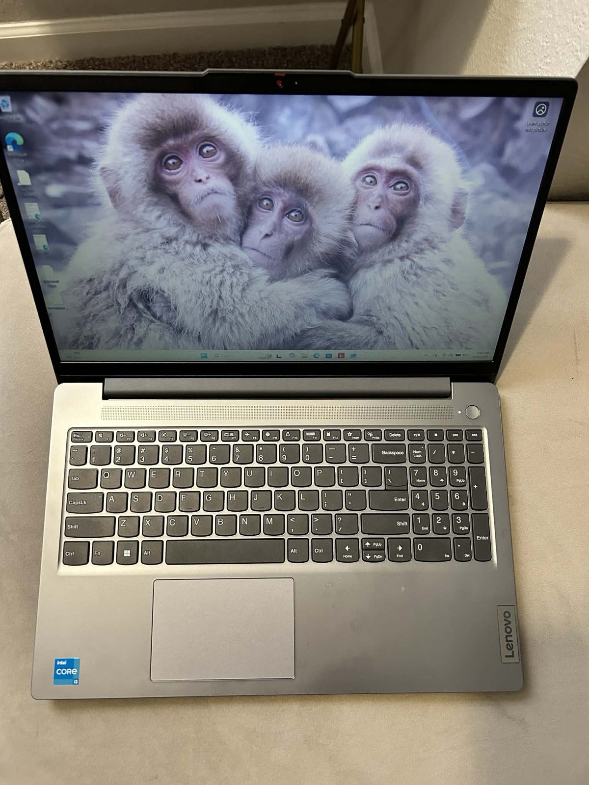 Lenovo IdeaPad 3 15IAU7 Laptop Intel i3-N305 8GB RAM 15.6″ SSD Silver