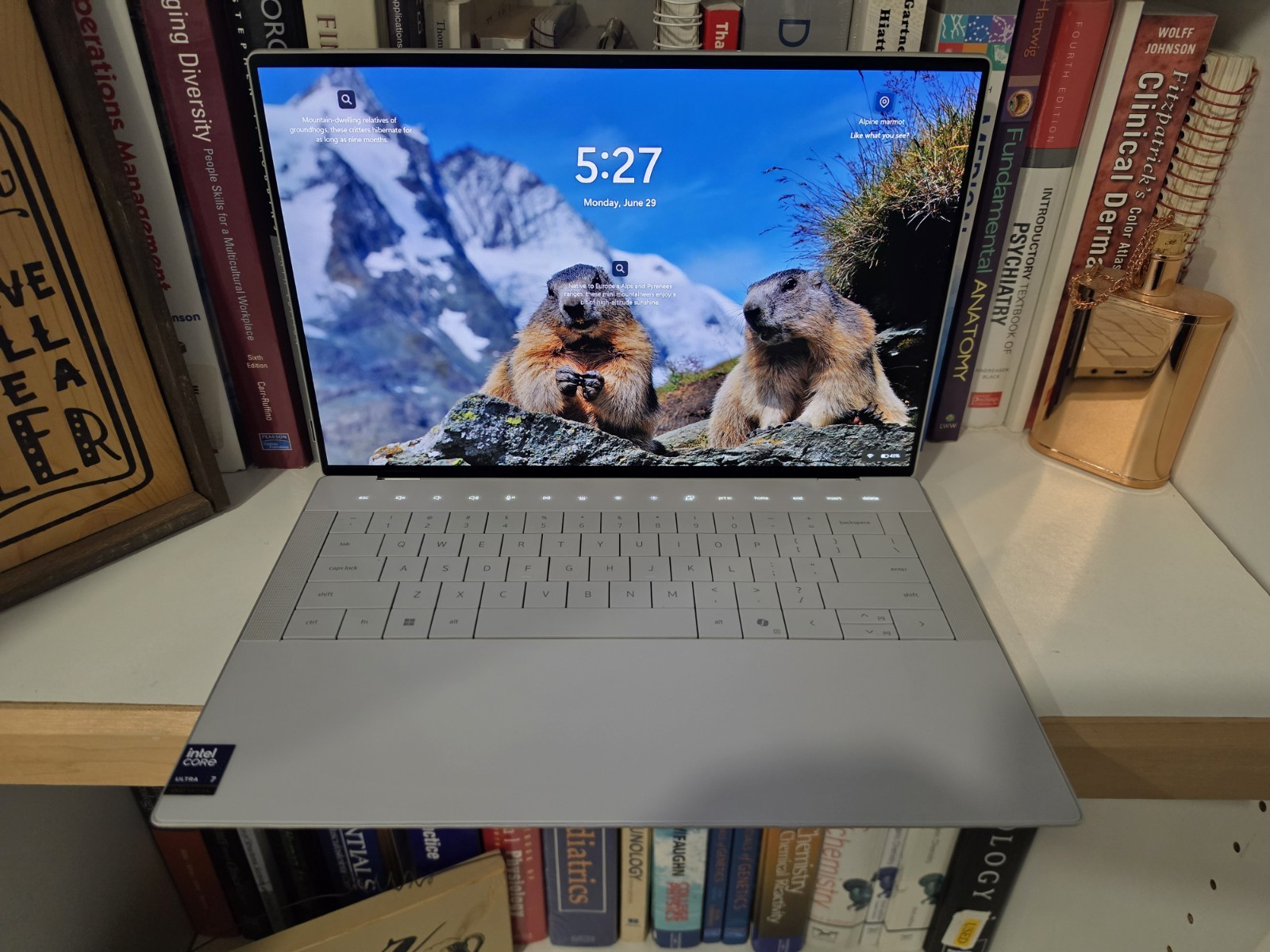 Dell 14 Premium 14.5″ 3.2K OLED Touch Core Ultra 7 255H 32GB 1TB ARC GPU