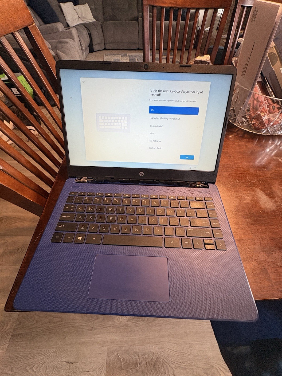 HP Laptop Blue Windows 11 Intel UHD Graphics 600