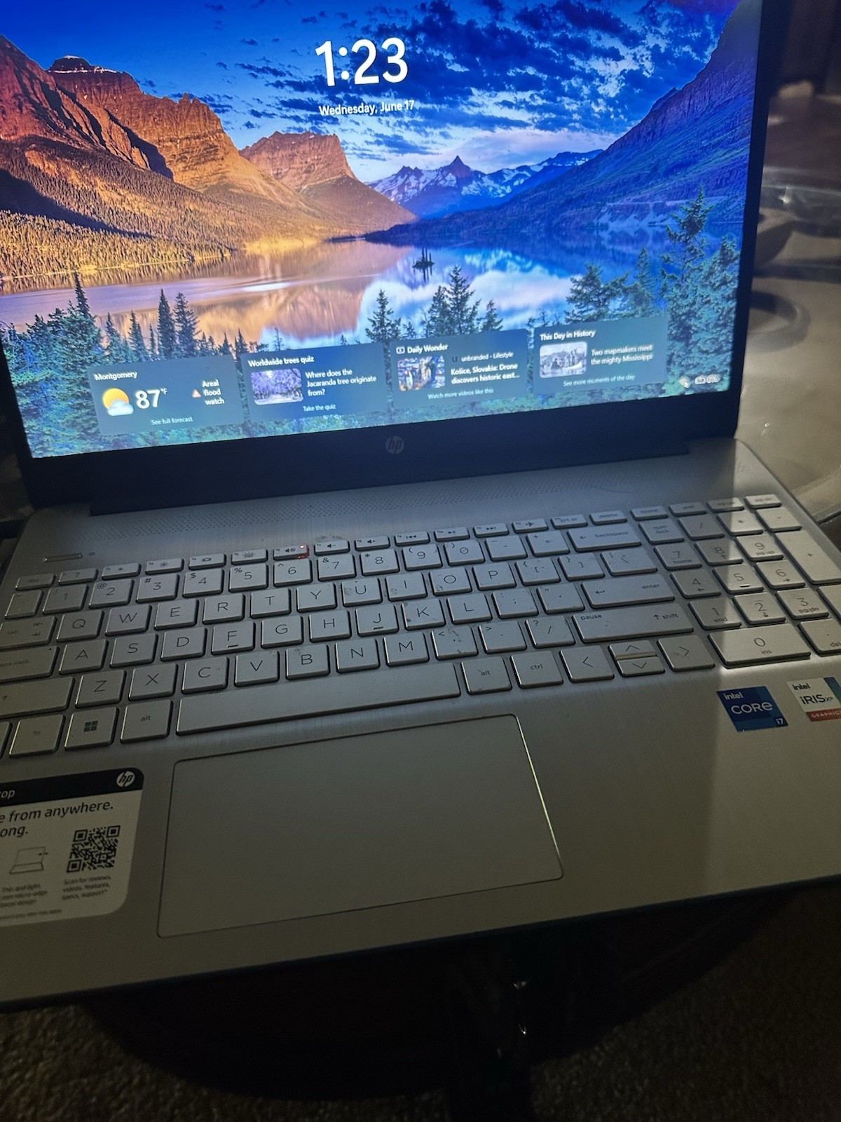 HP Laptop 17.3in Silver Intel Core i7 11th Gen SSD Windows 11