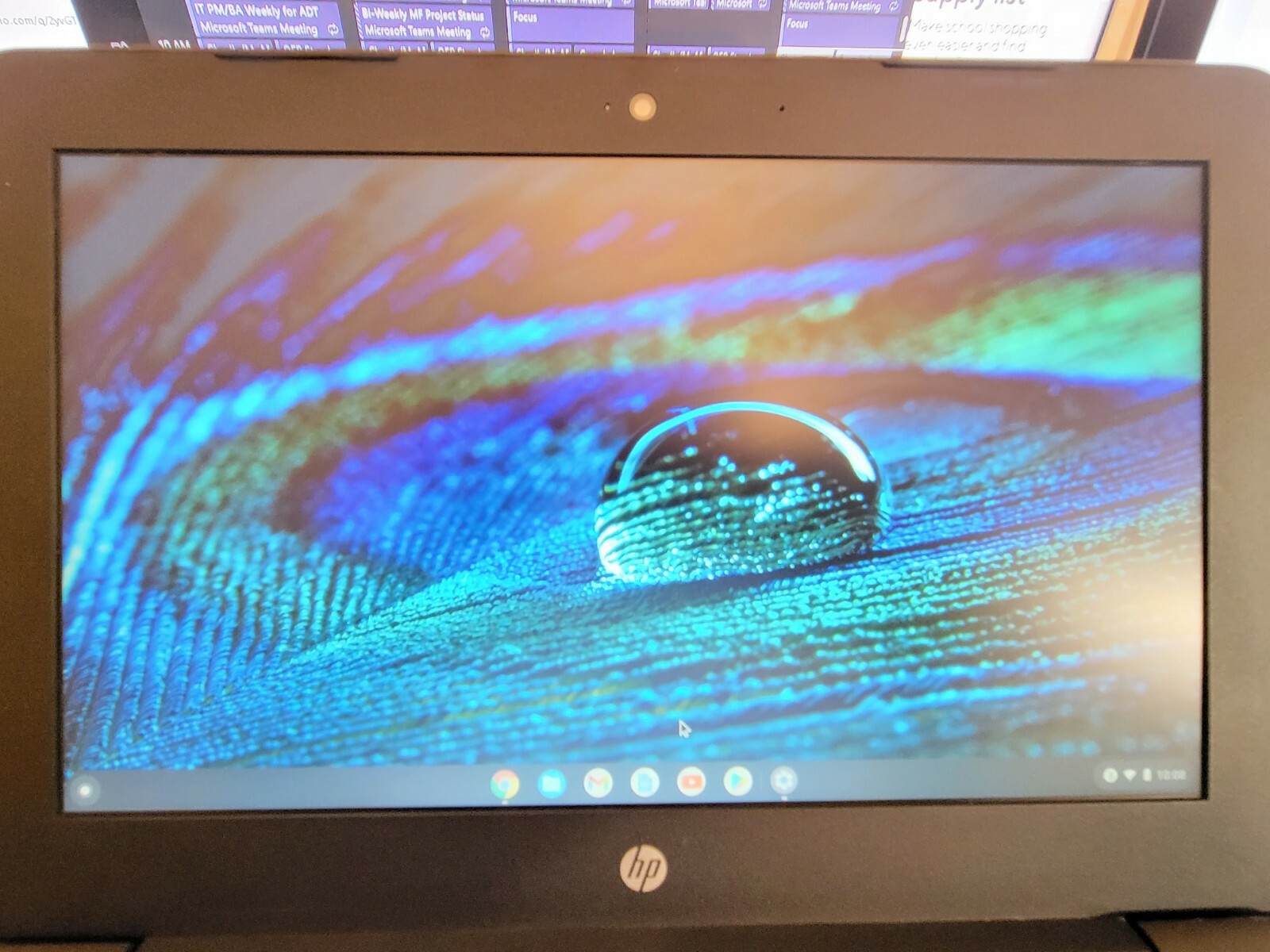 HP – 11.6″ Chromebook – Intel Celeron – 4GB – 32GB eMMC – Ash Gray 11A-NB0013DX