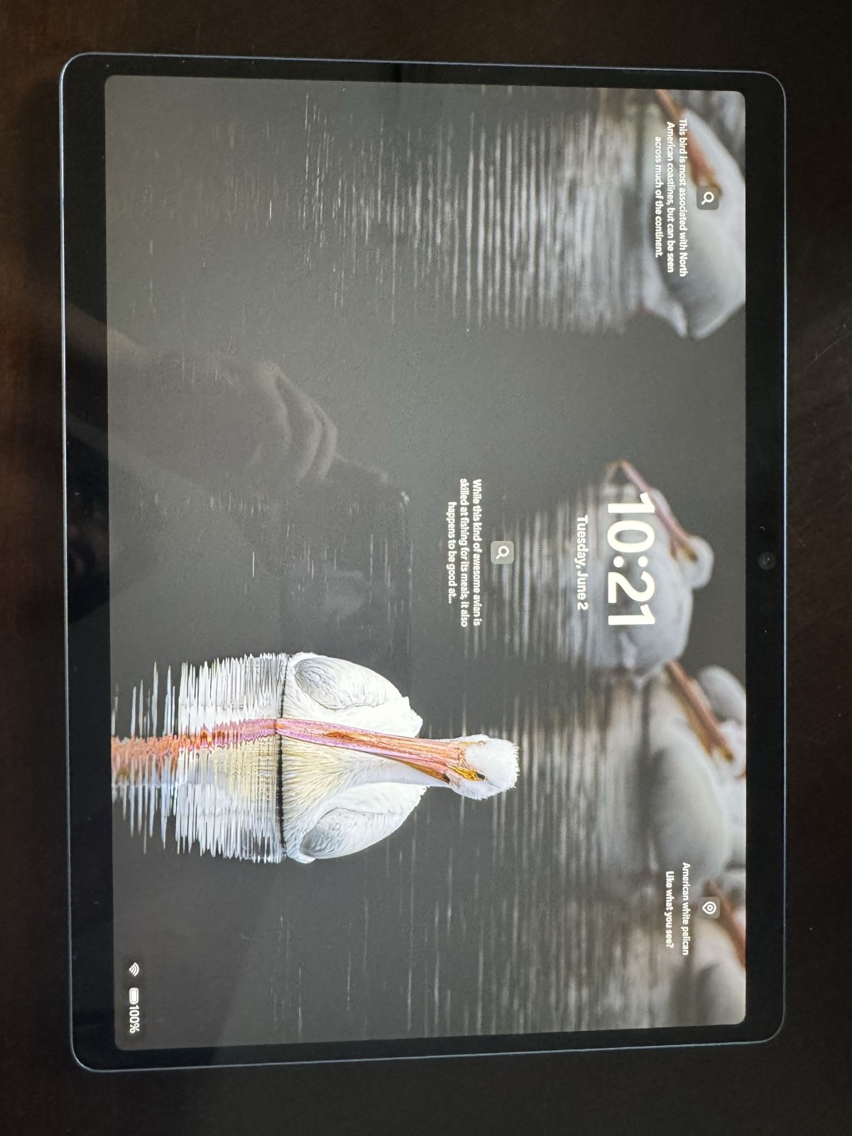 Microsoft Surface Pro 11th Edition 2076 13″ Snapdragon X Plus 3.4GHz 16GB 512GB