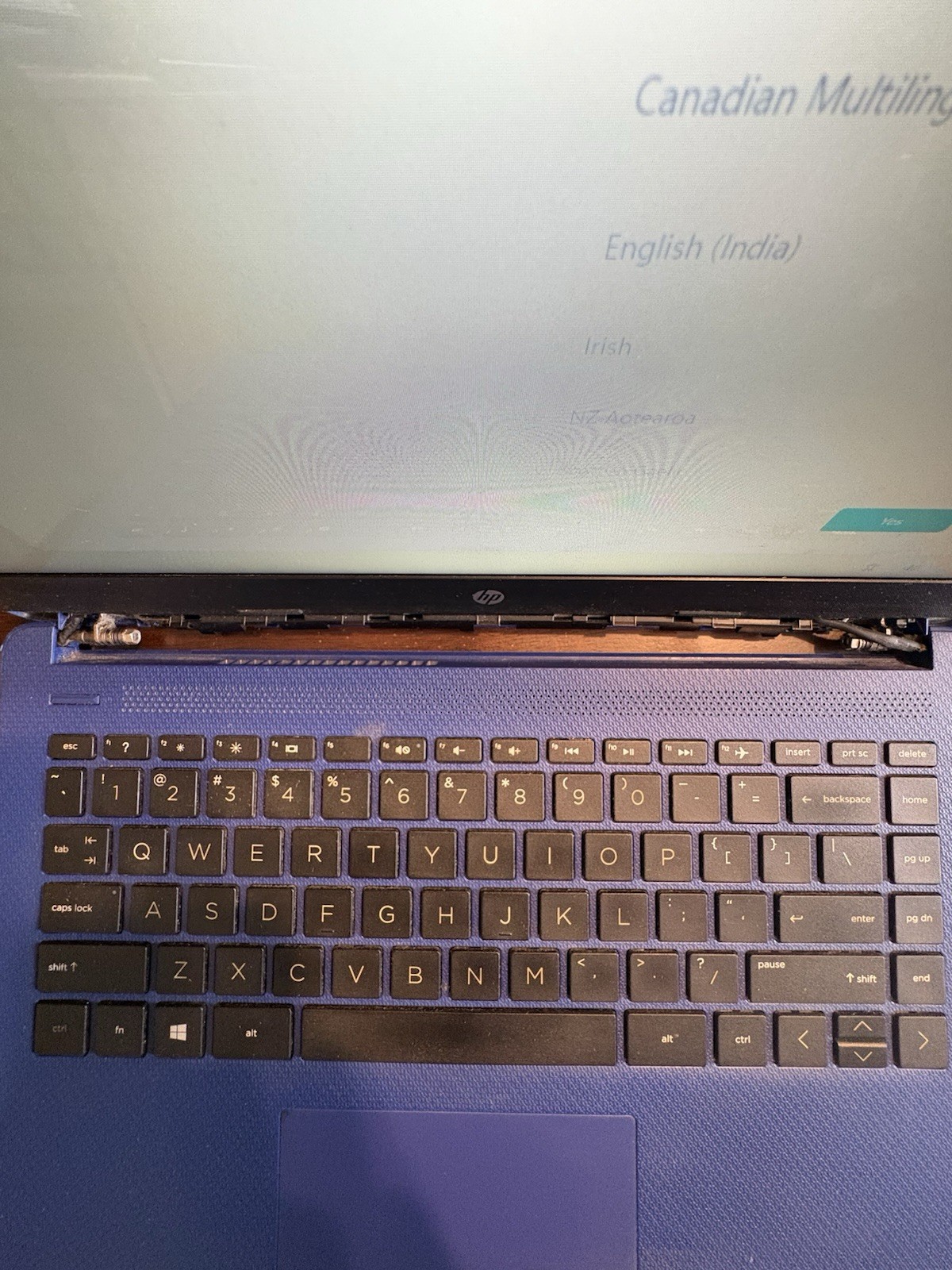 HP Laptop Blue Windows 11 Intel UHD Graphics 600
