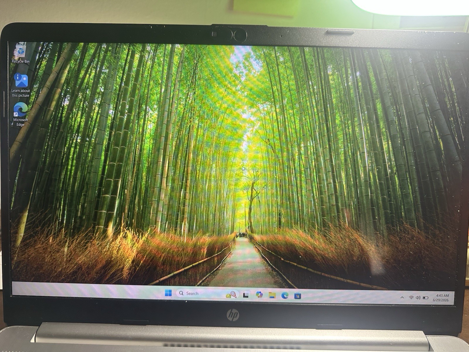 HP 15-inch Laptop AMD Ryzen 7 4700U 16GB RAM 512GB SSD Win 11 Home
