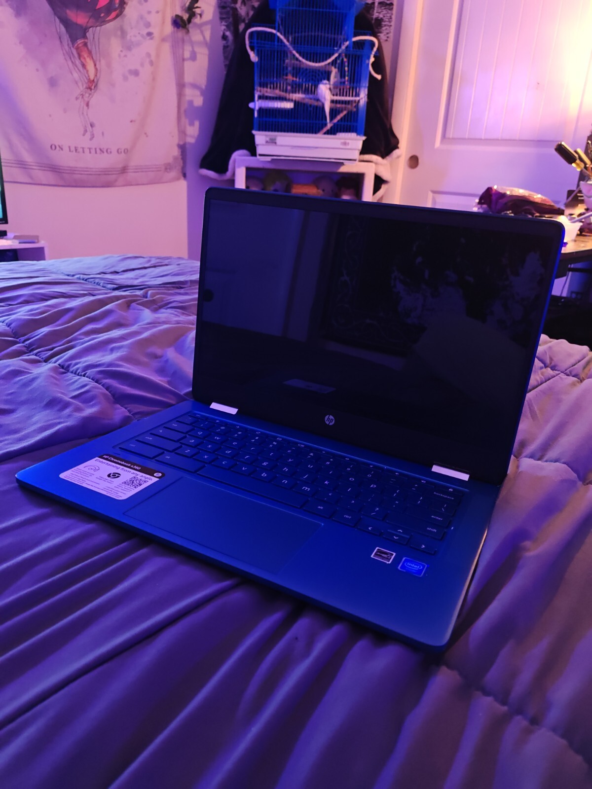HP Chromebook X360 With TikTok Installed