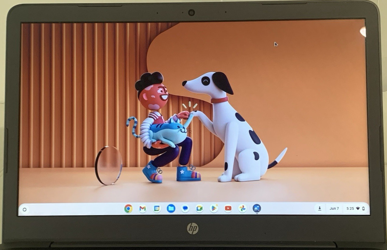 HP Touchscreen Chromebook 14″ Intel Celeron 1.1GHz 4GB RAM 32GB eMM Adapter