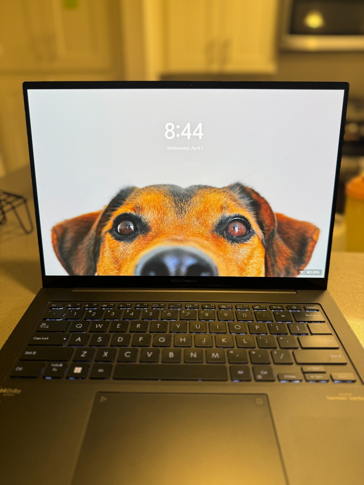 ASUS ZenBook 14X OLED UX3404VA Q420VA ||| 8GB Ram 500GB