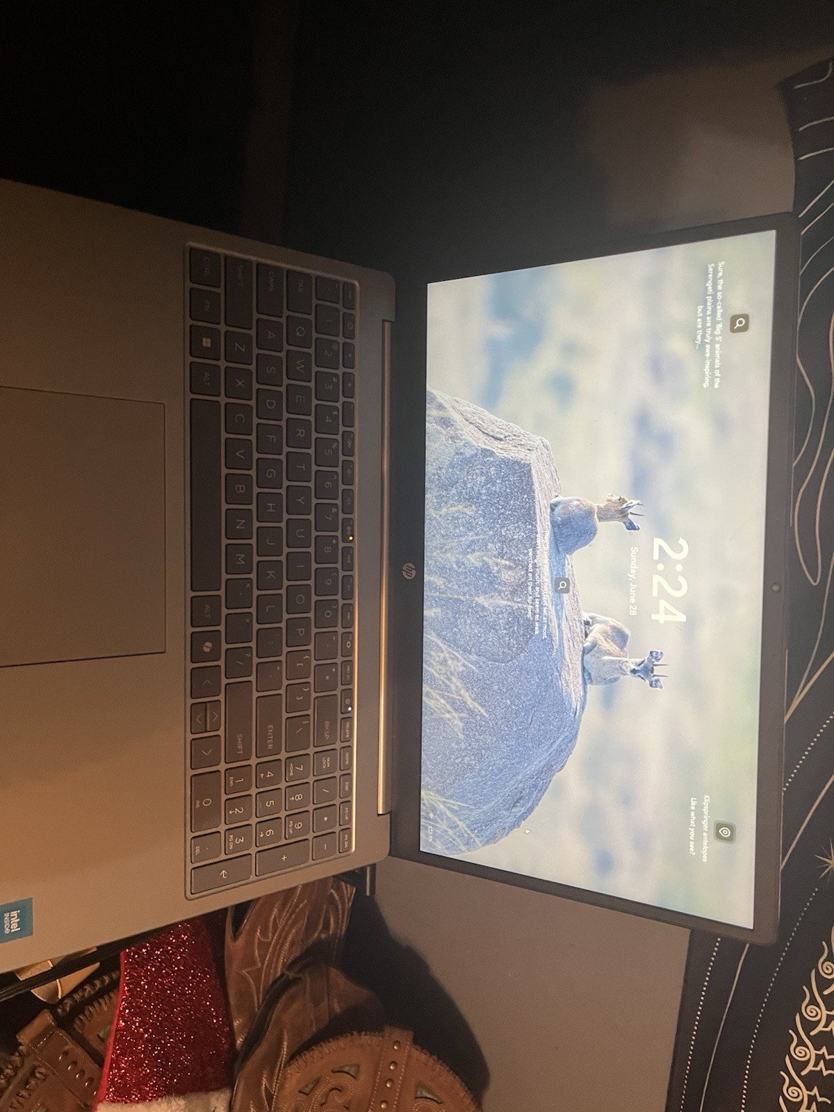 HP 14-inch Silver Notebook Laptop