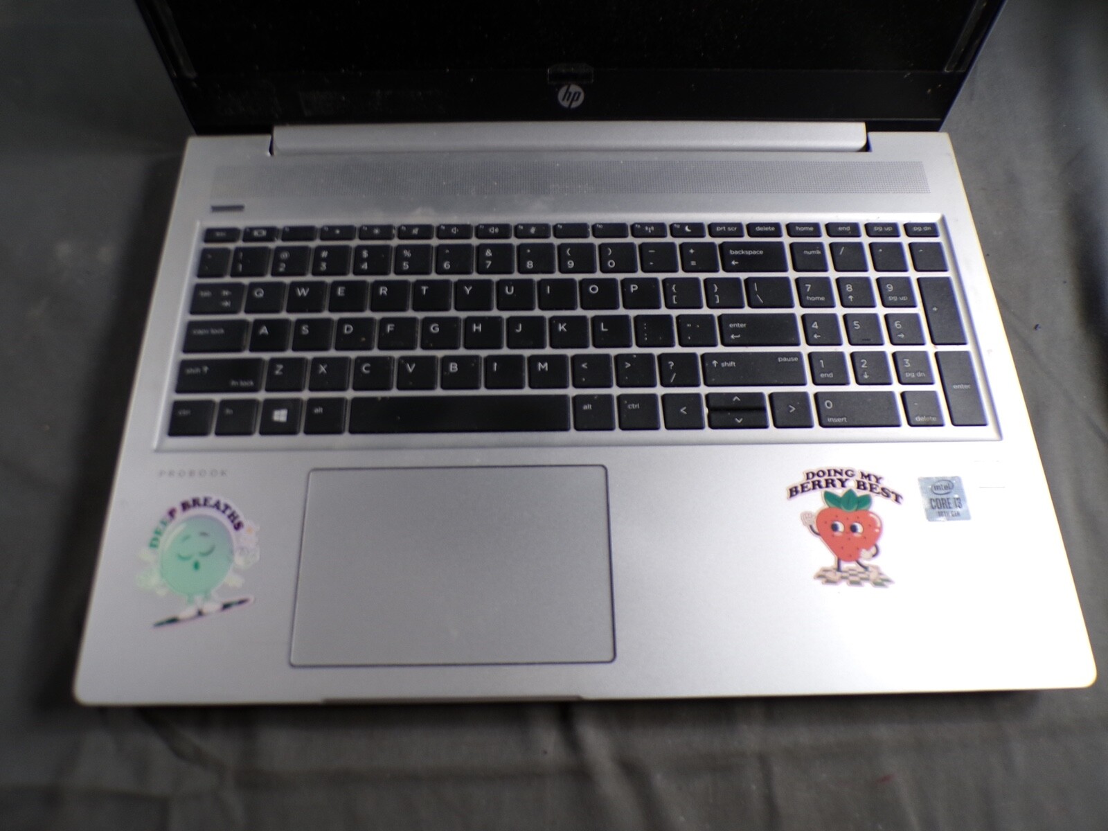 HP PROBOOK 450 G7 INTEL CORE i3 10TH GEN 8GB RAM