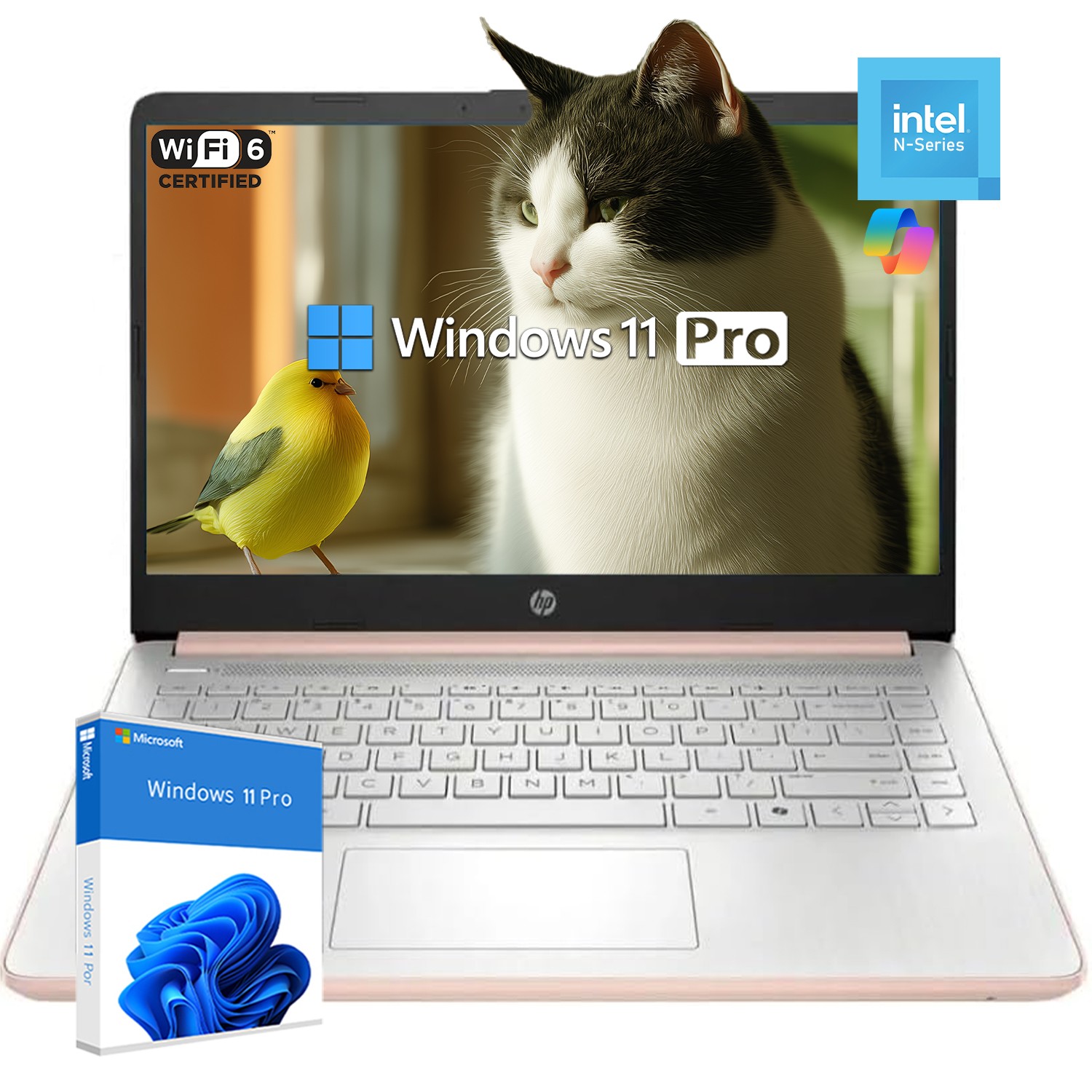 HP Student Laptop 14″ 4 core 4 threads Intel N150 128eMMC UP TO 16GB RAM Win Pro