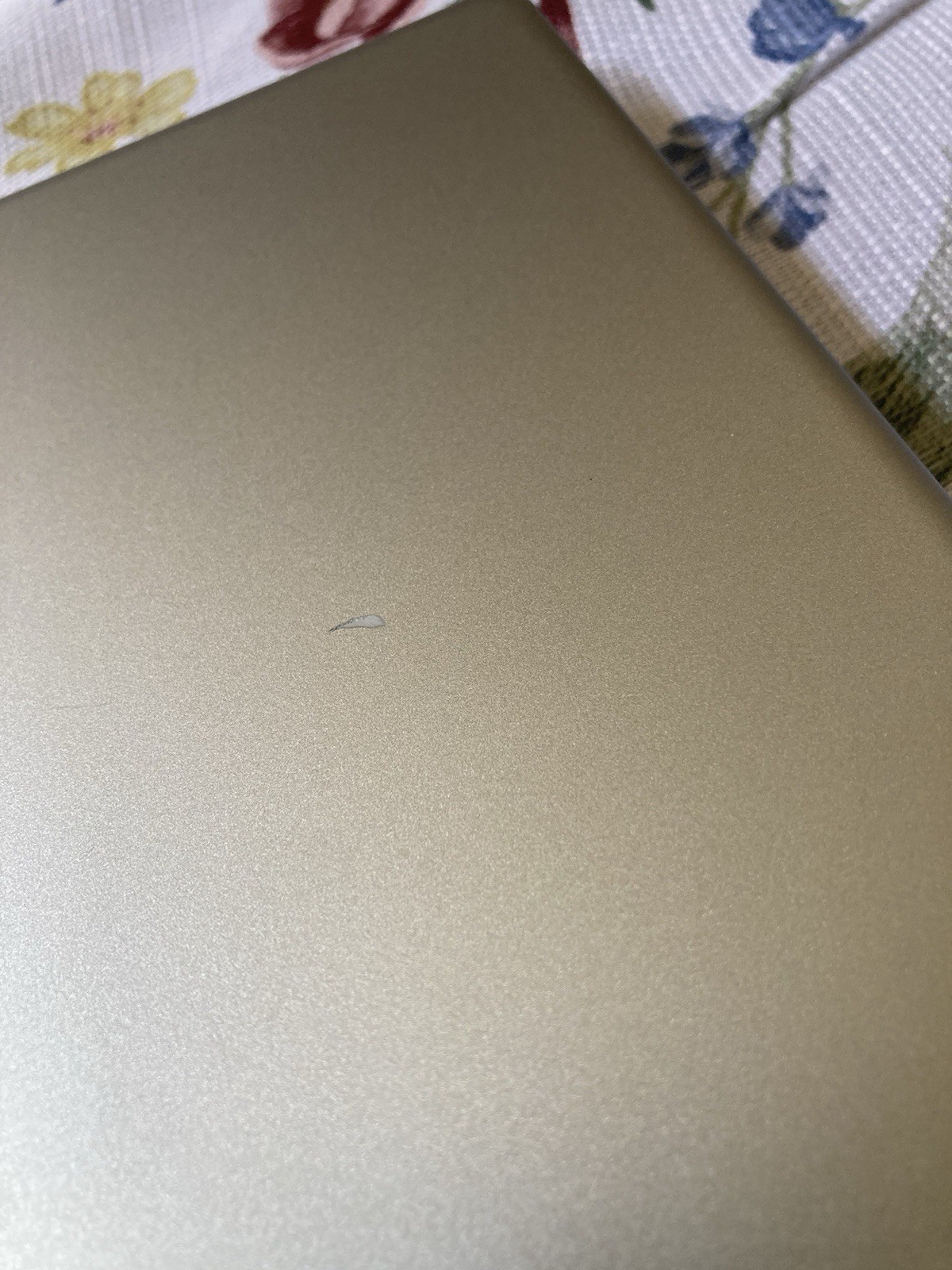HP Laptop 14-em0022wm 14in FHD AMD Athlon 4GB 256GB SSD Win11 Silver new no box