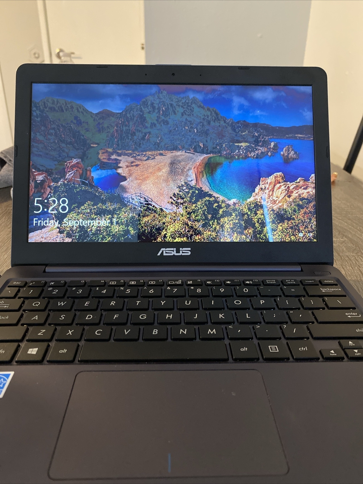 Asus L203M Intel Celeron N4000 4 GB Ram 60 GB Hard Drive Laptop Computer