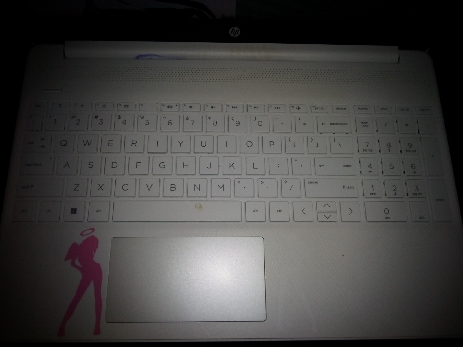 hp laptop 15dy2042nr Snow White(Busted Screen) But Comes With Monitor And HDMo