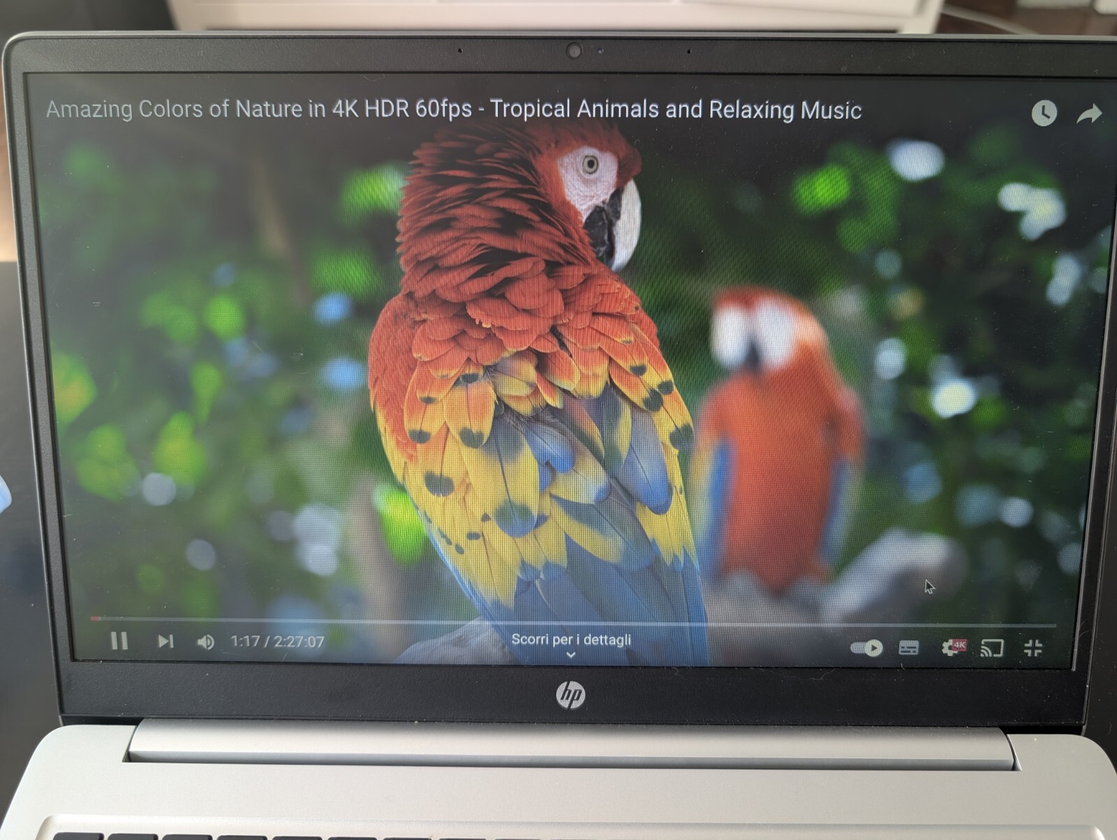 HP 15.6″ Chromebook 15a-na0001sl 8GB RAM 128GB HD Google IPS Intel Notebook PC